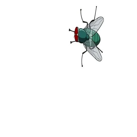 #249 – Fly (Audio Book) (Re-Release)