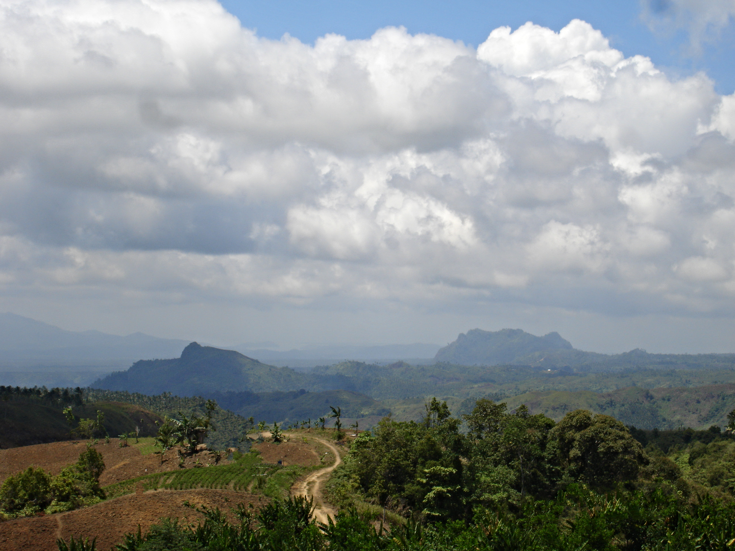 DSC01615a.png