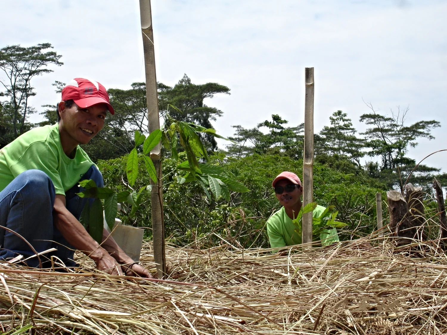 Take Action — Plant the Planet