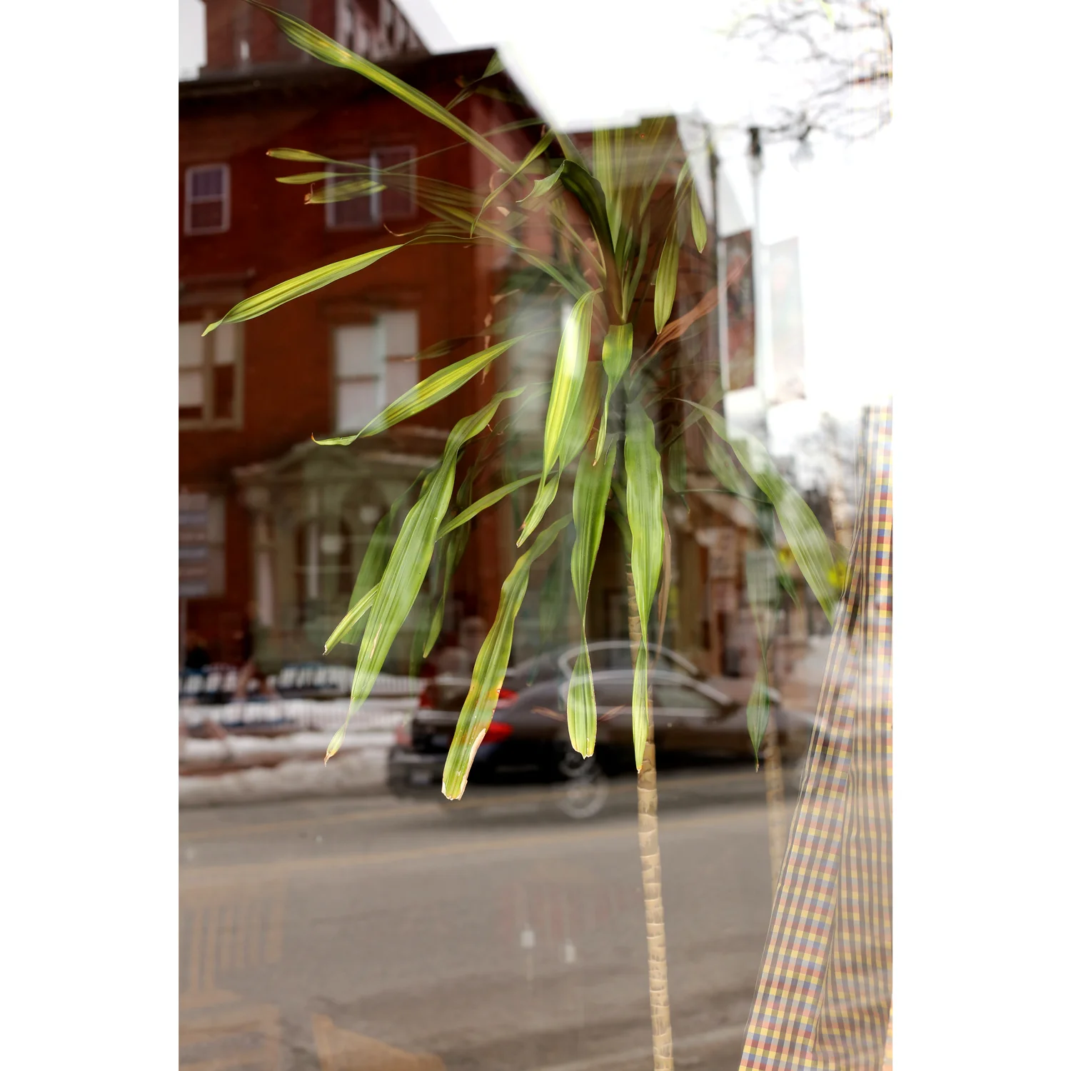 Local-188-II.jpg