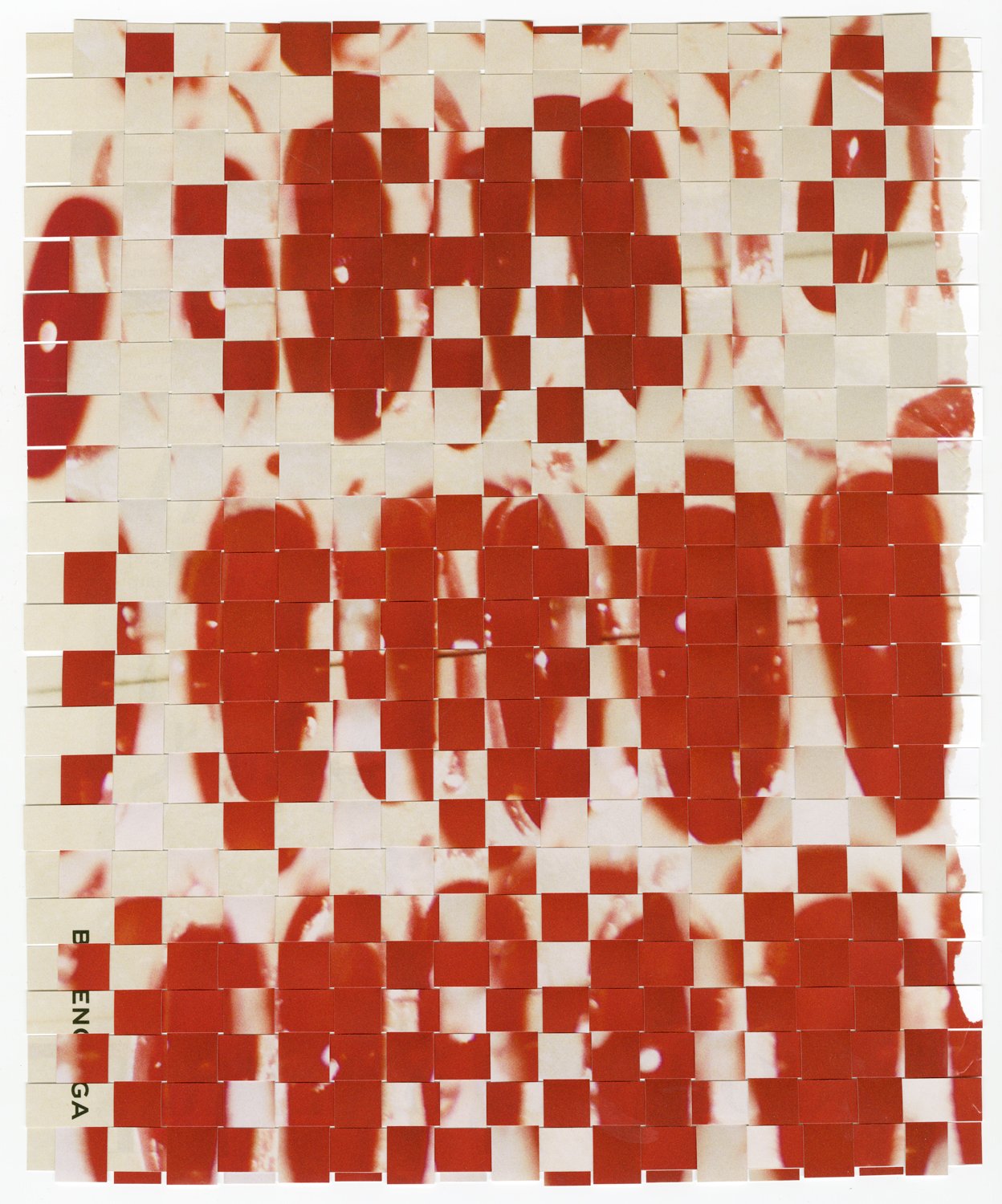 scan-woven021.jpg