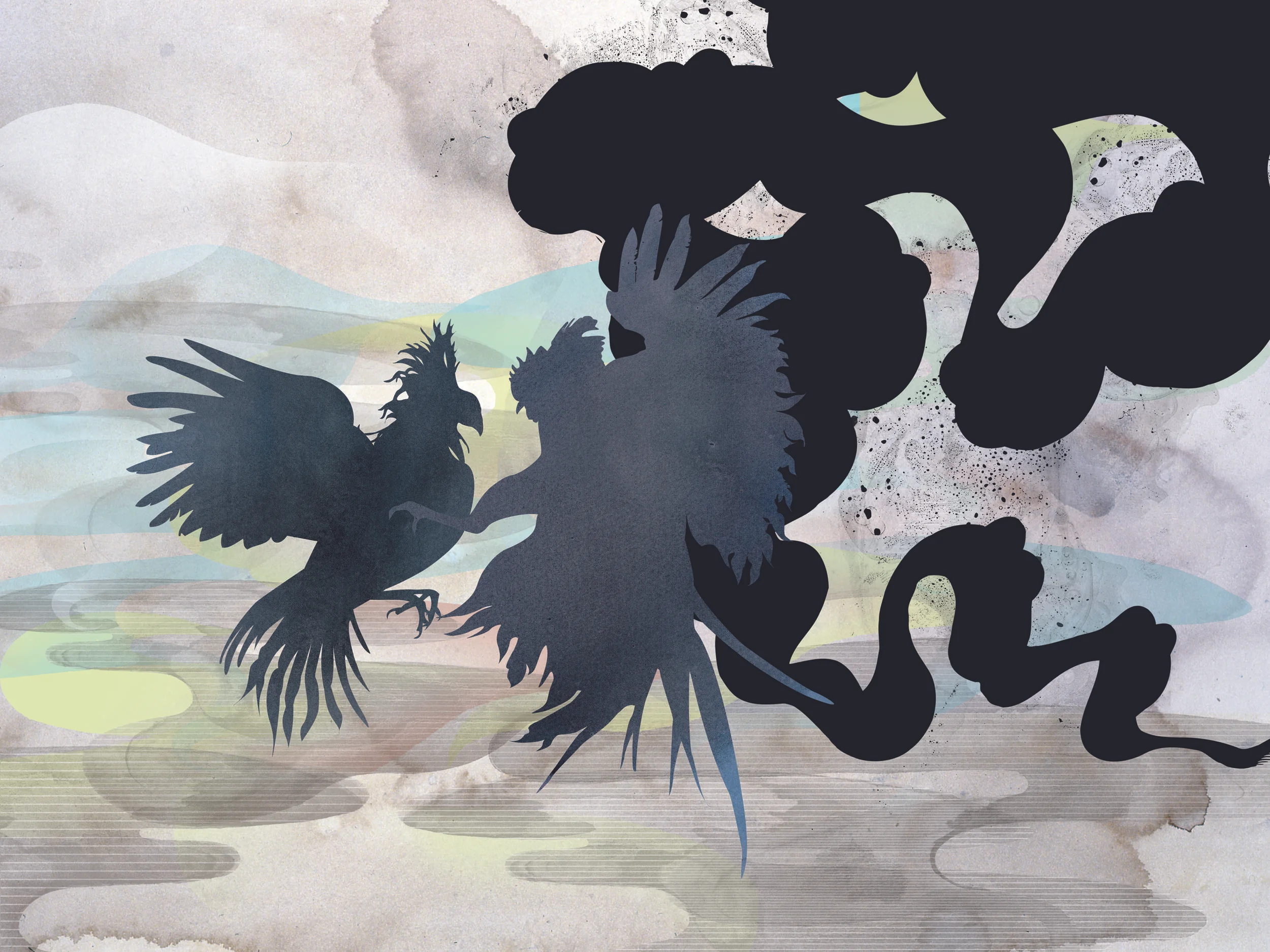 1801 Tequila _ Illustration Collab w/ David Ellis