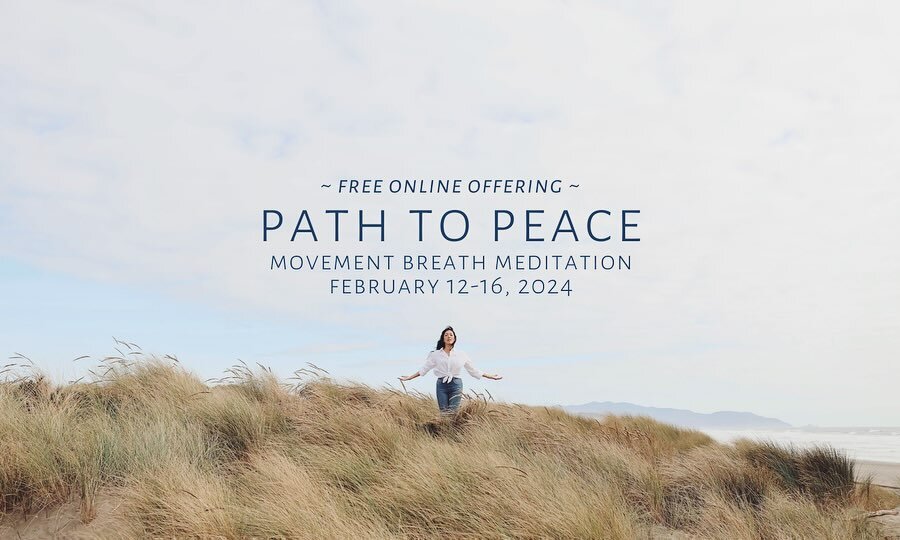 Yvonne Kingsley Yoga