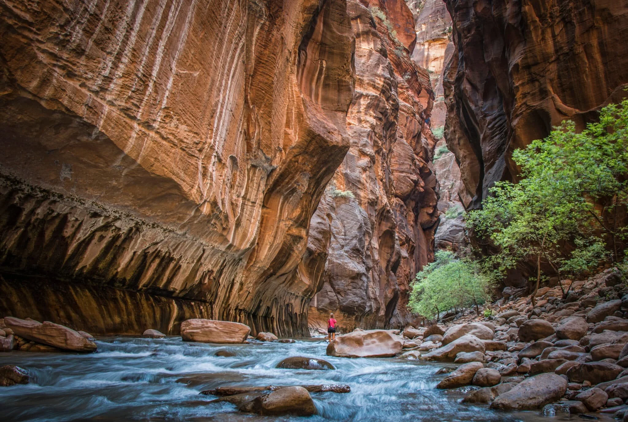 Zion narrows 2.jpeg