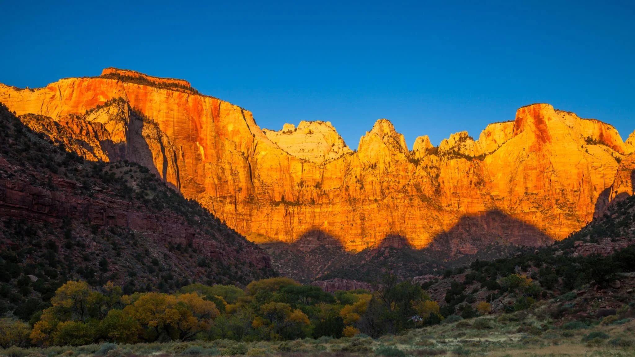 Zion red rocks.jpeg