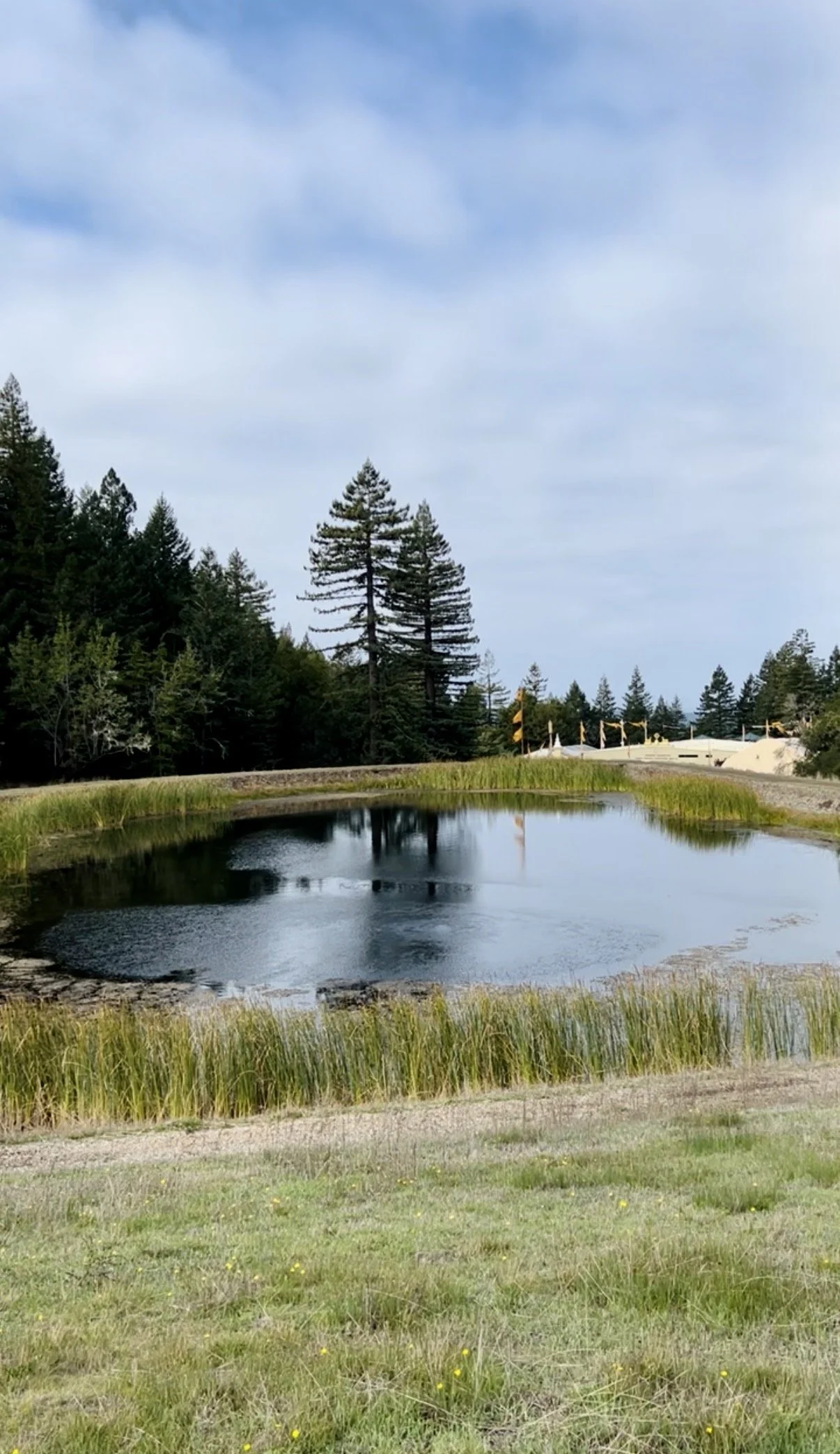 Ratna pond.jpeg