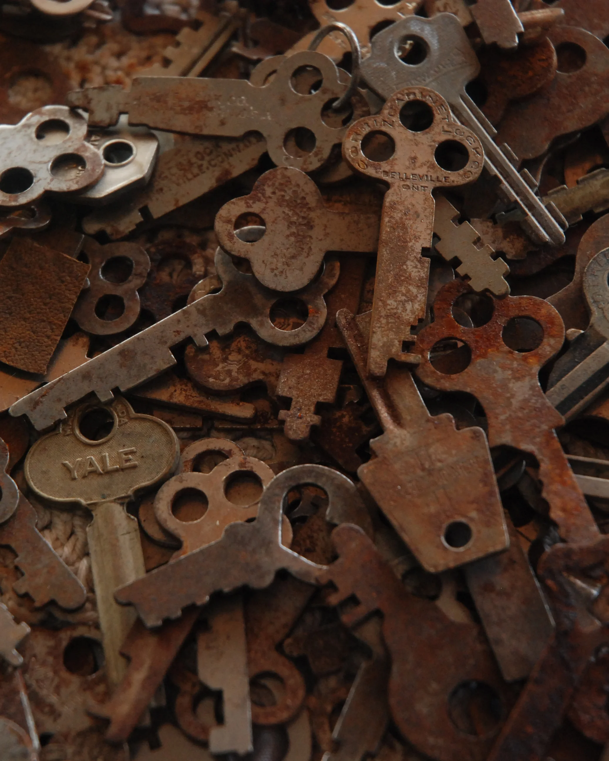 KumagaiSare_President's Wall_1169.jpg