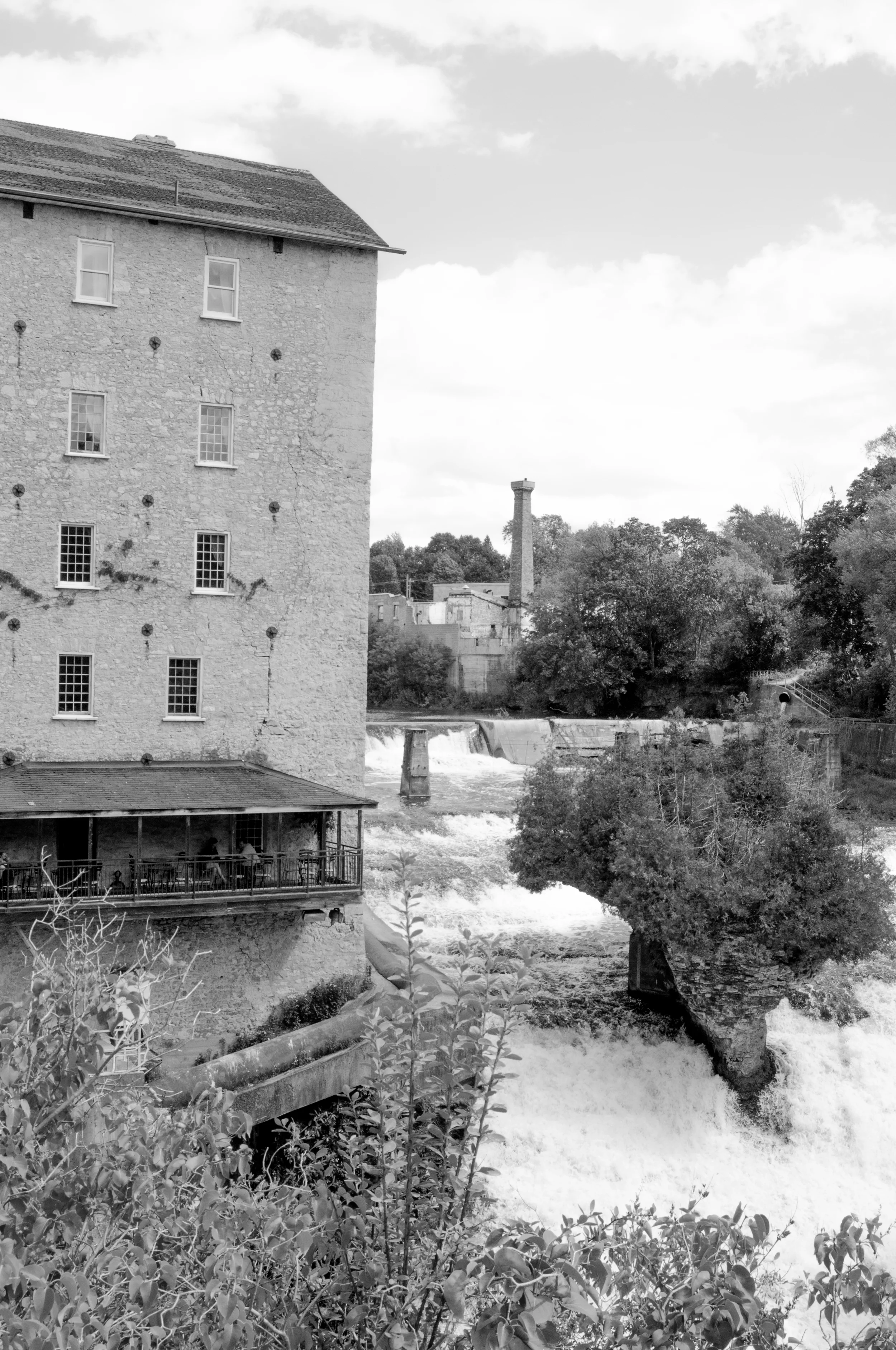 Elora__DSC8809 (1).jpg