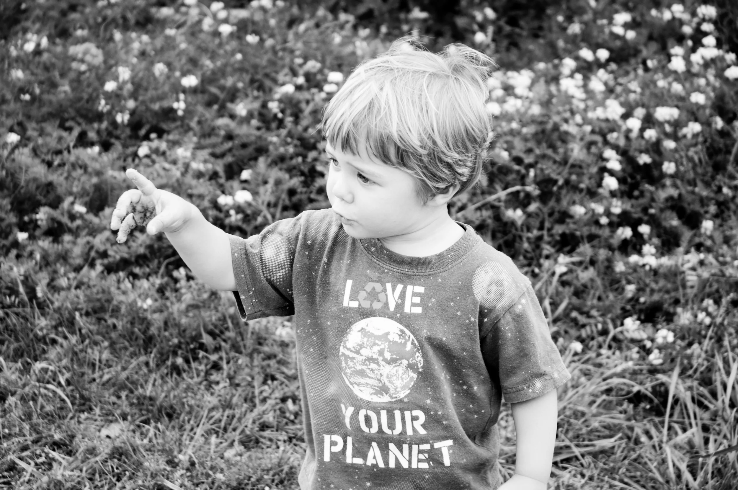 Hillside 2013-2-10 (2).jpg