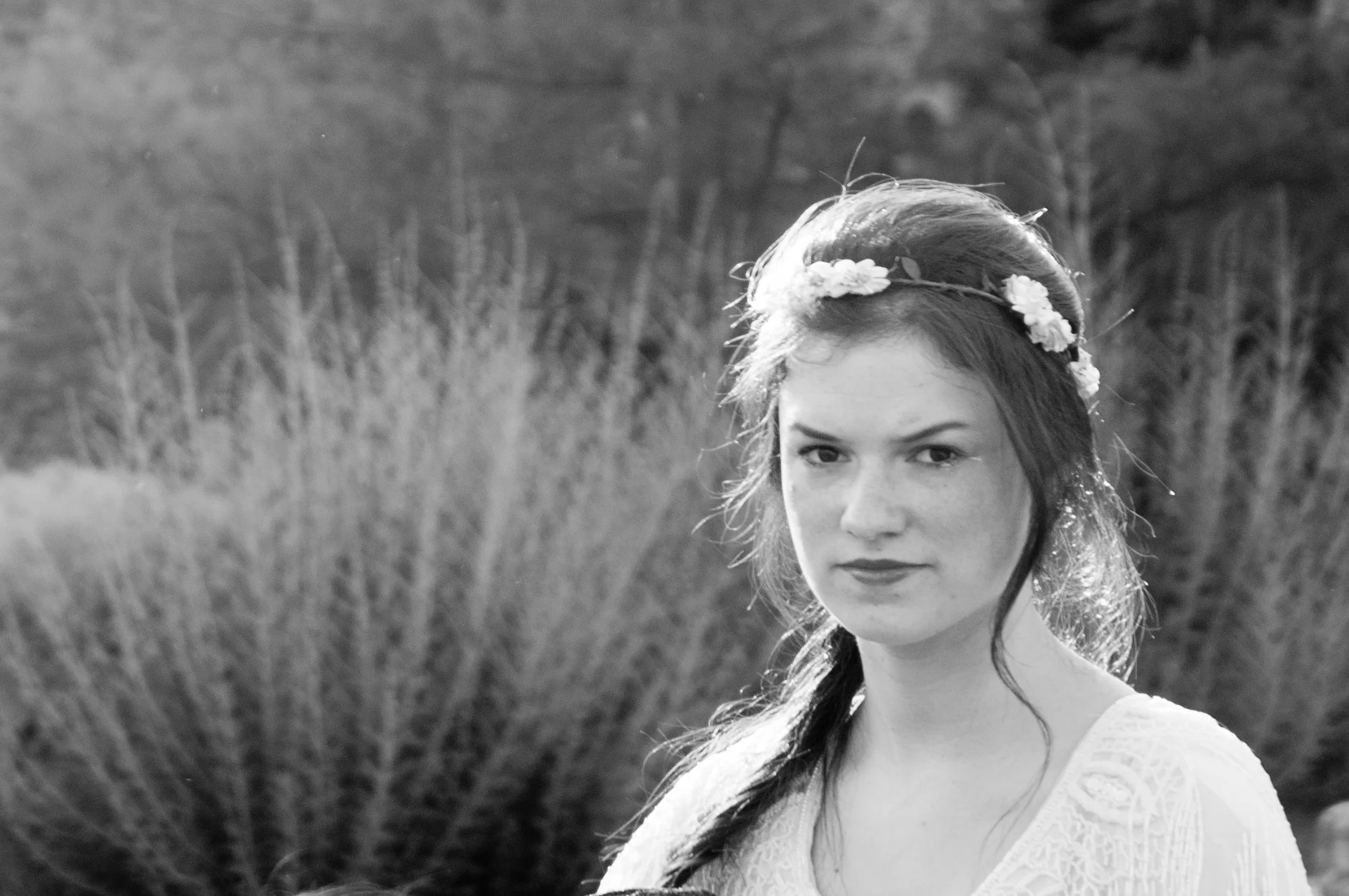 Midsummers Night_DSC_8131.jpg