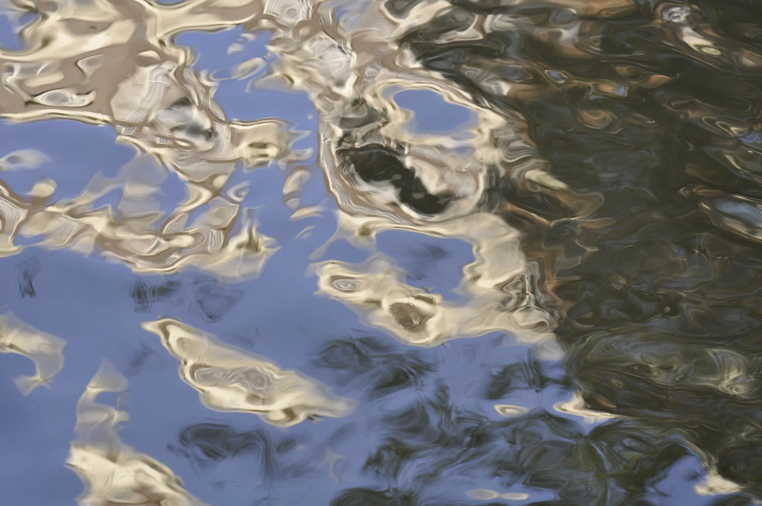 Beholder Images_Reflections of Amsterdam_7019.JPG