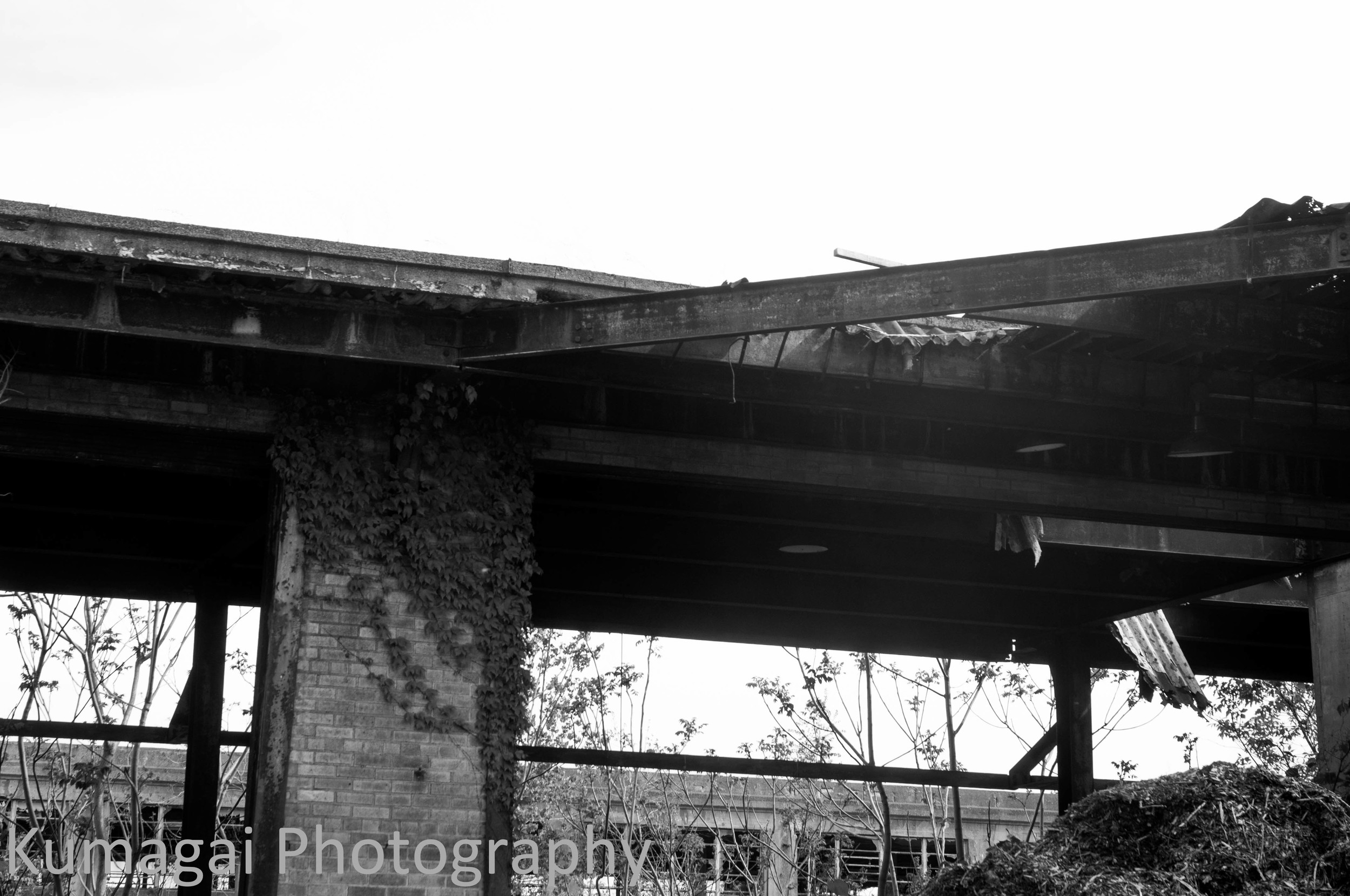 Buffalo's Decay - Industrial-3031.jpg