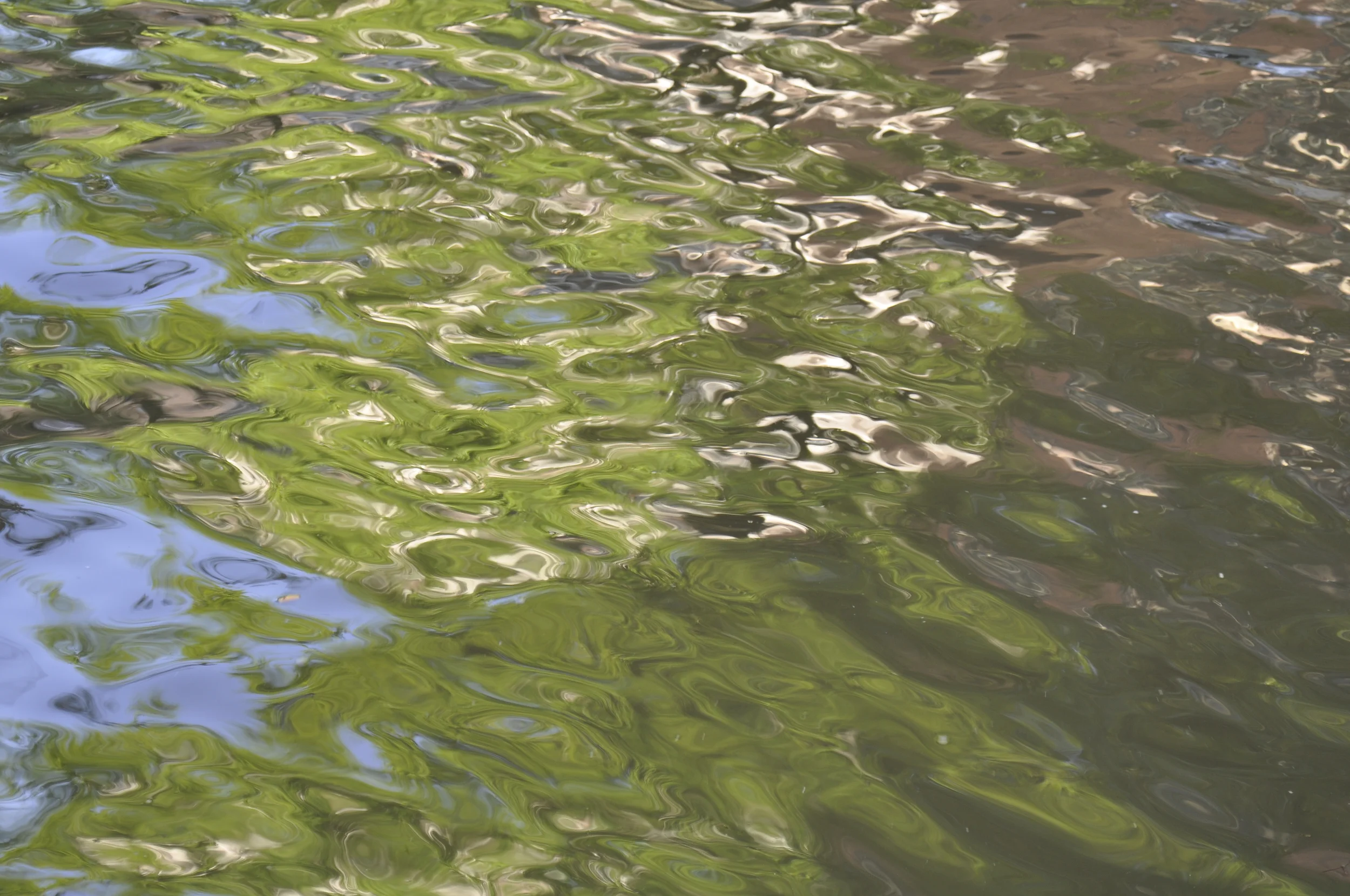 Beholder Images_Reflections of Amsterdam_7034.JPG