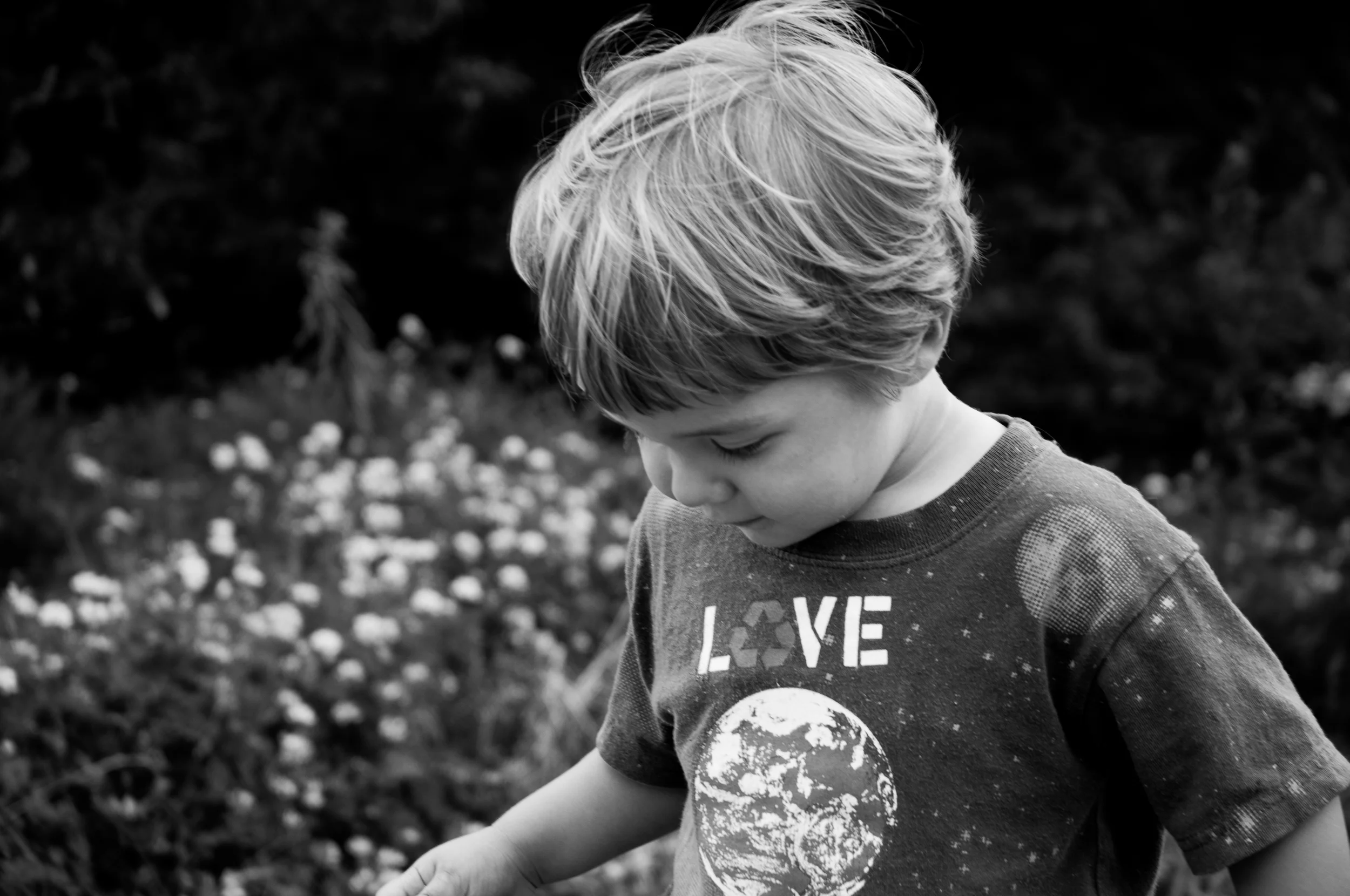  Hillside Festival 2013 