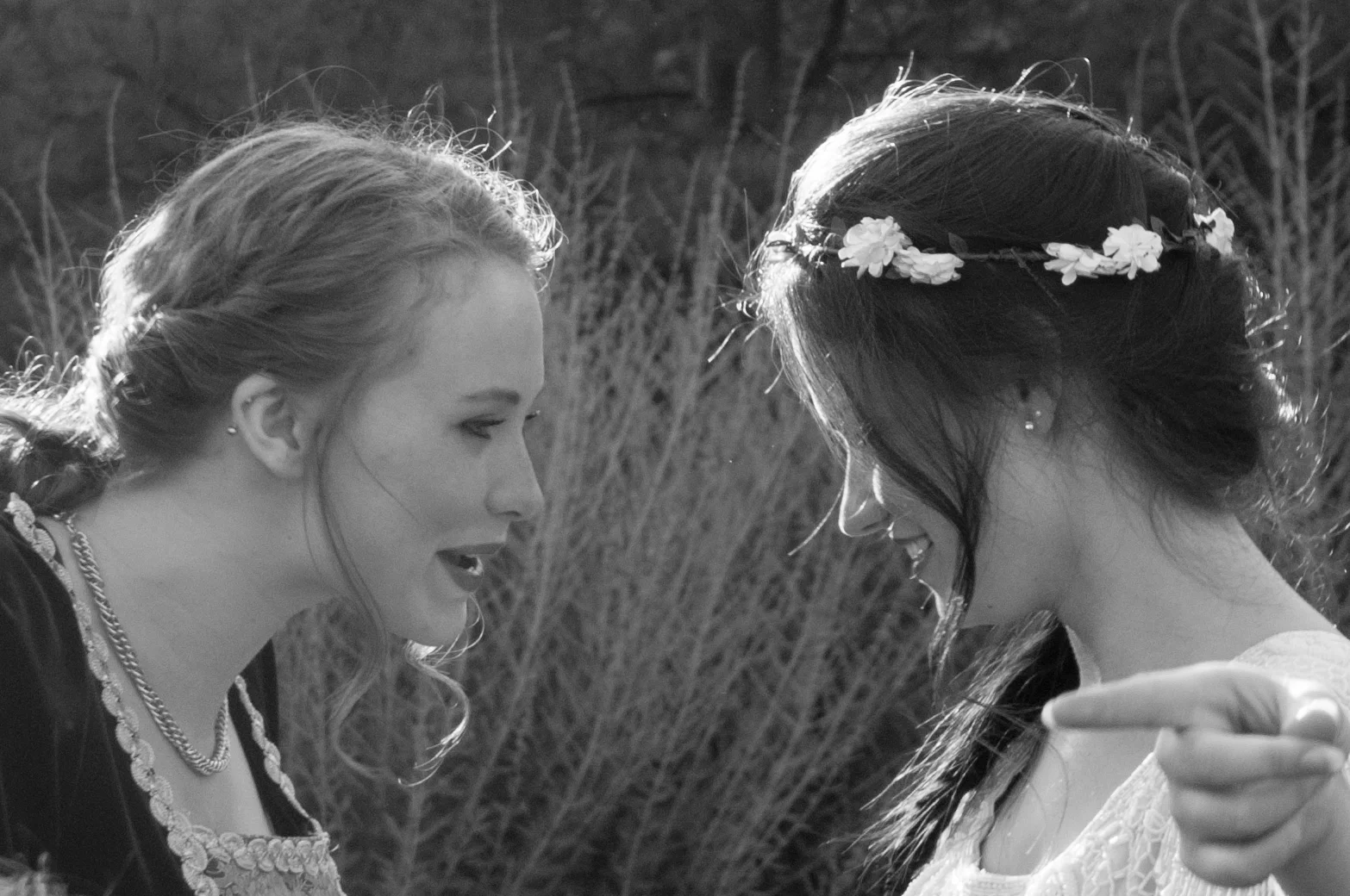 Midsummers Night_DSC_8127.jpg