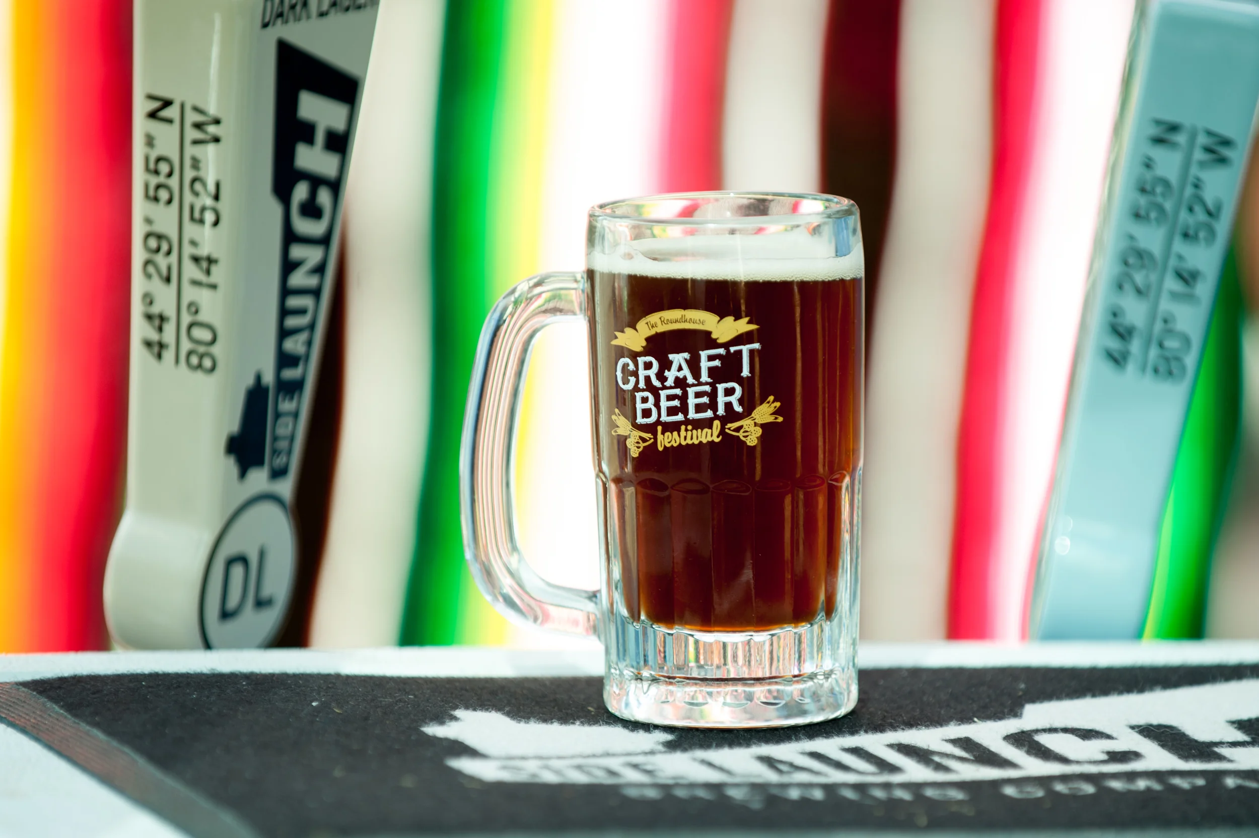 Craft Beer Festival-7278.jpg