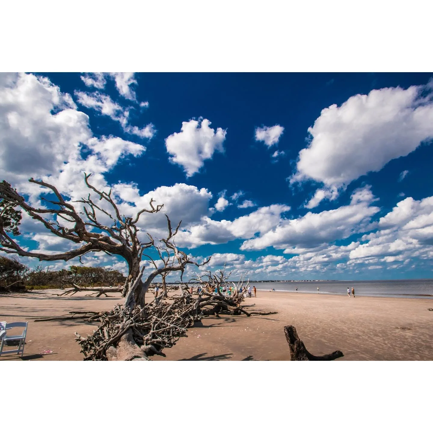 Jekyll Island, 2016