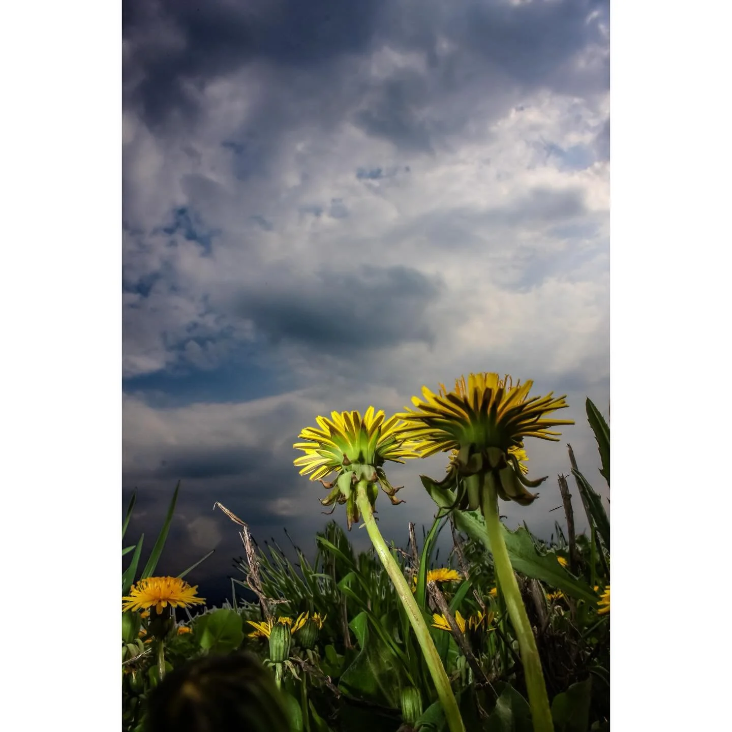 Rockport, OH - 2009