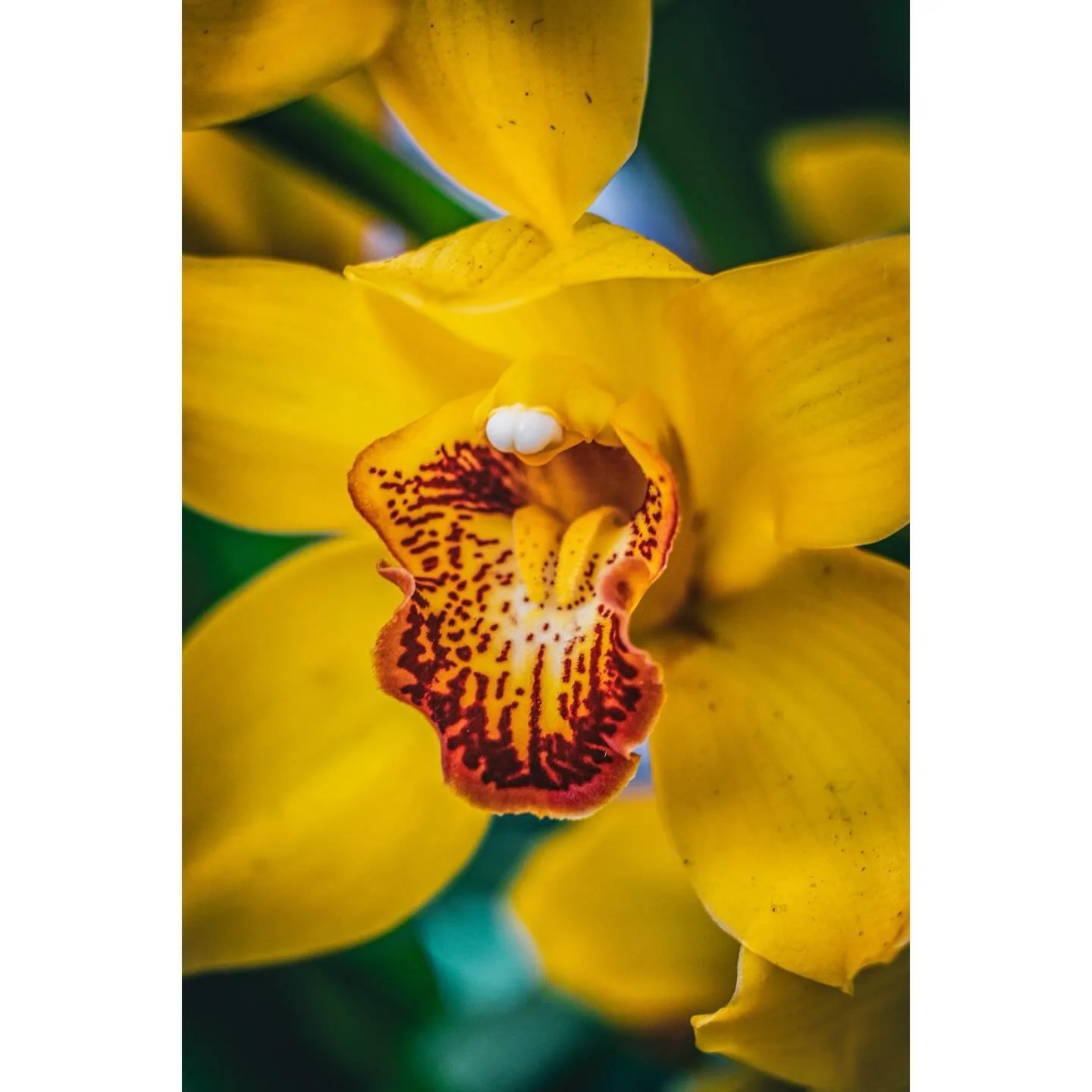 You&rsquo;re given a flower
But I guess that there&rsquo;s just no pleasing you