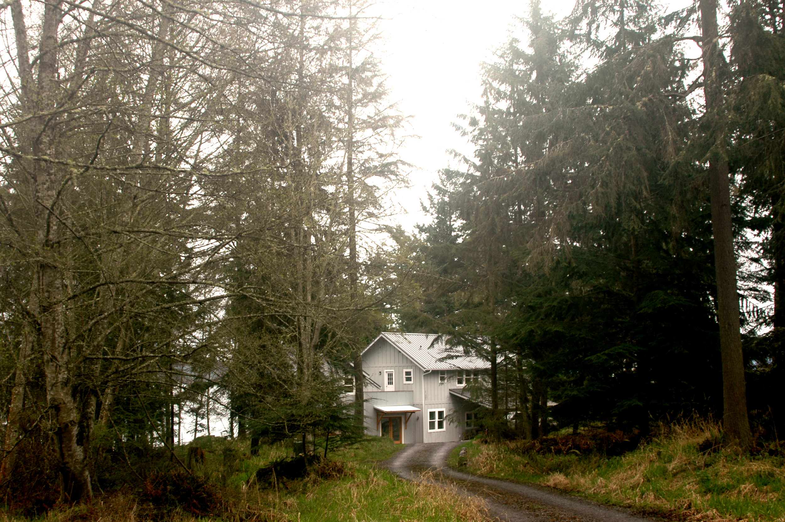  a long driveway winds through four acres of alder groves and wetlands before reaching the house. 
