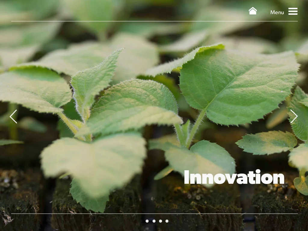 Zespri-FinForcast-Innovation-Splash.jpg