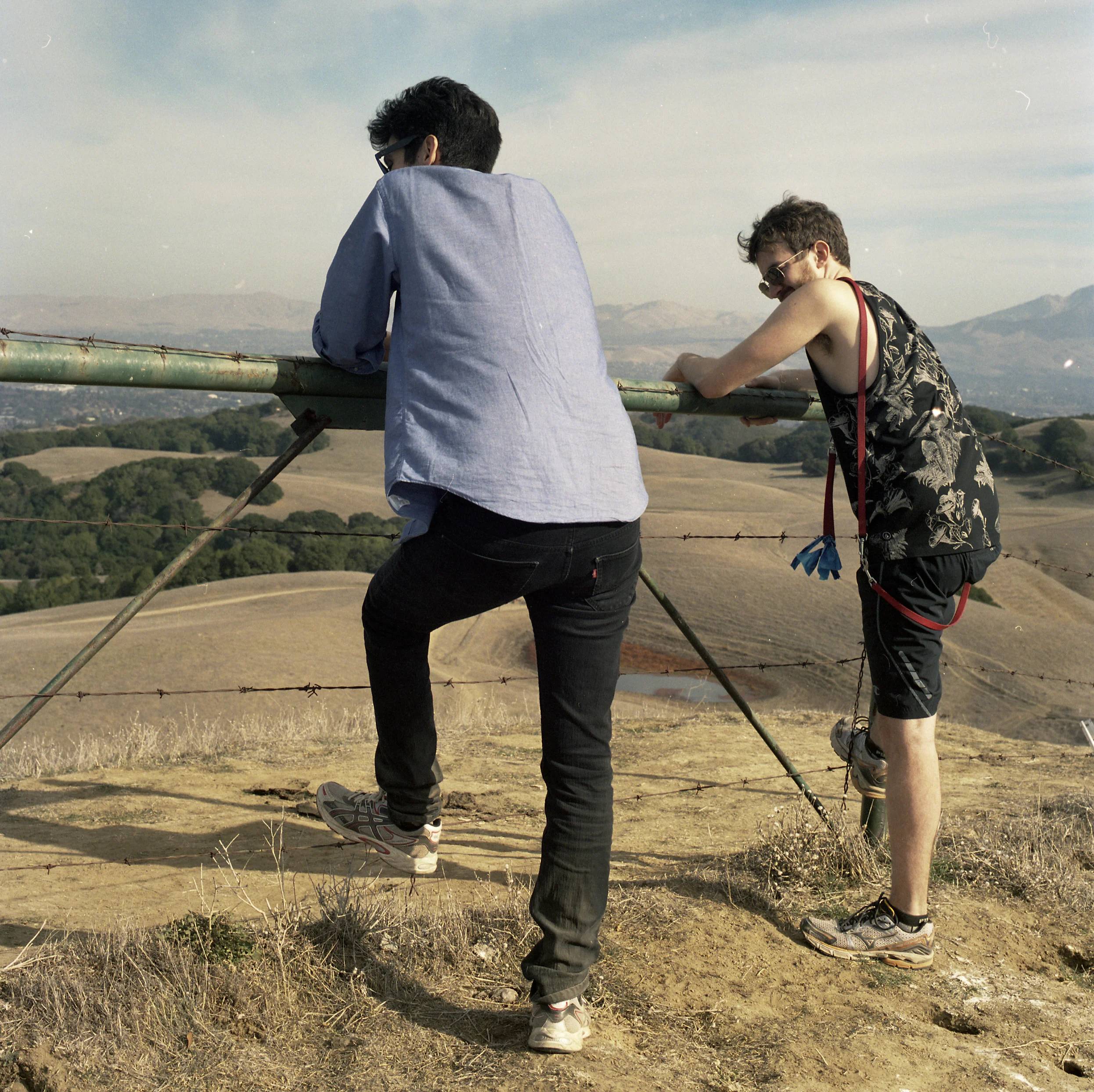 Old Friends (120mm)
