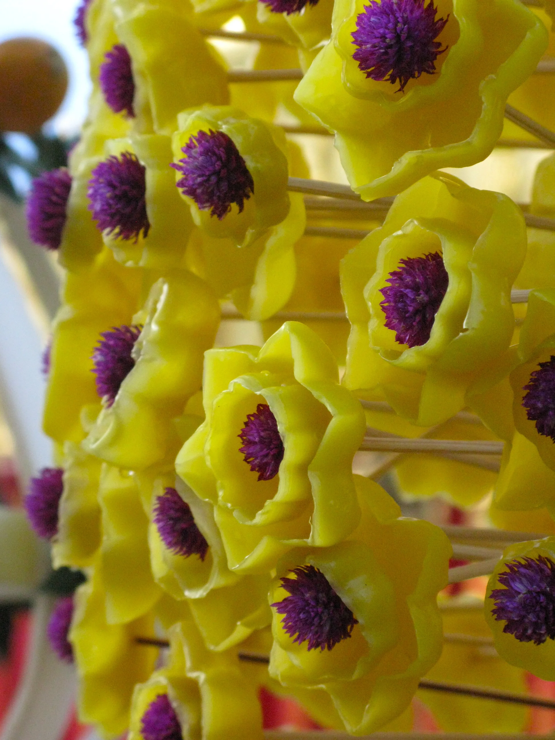 Flowers - Chang Mai, Thailand (Digital)