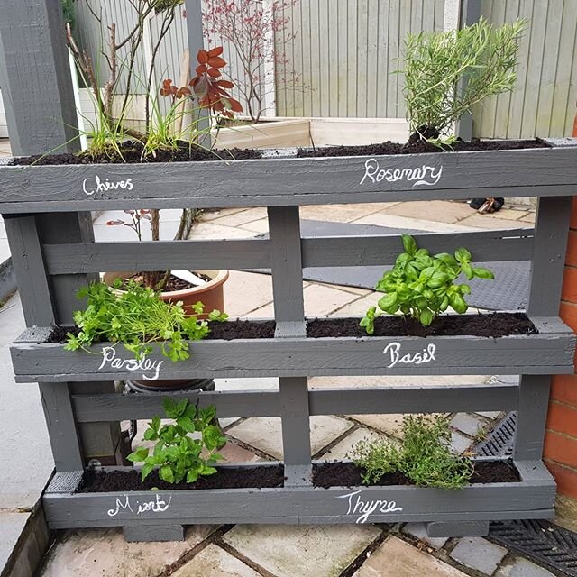 DIY upcycling Easter lockdown project. We had some left over pallets from a job a while back so decided to make a pallet herb garden. The girls really enjoyed putting the finishing touches to it. 👍🌱🐇🐥🌈 #Easter #easterweekend #EasterDIY #homeimpr