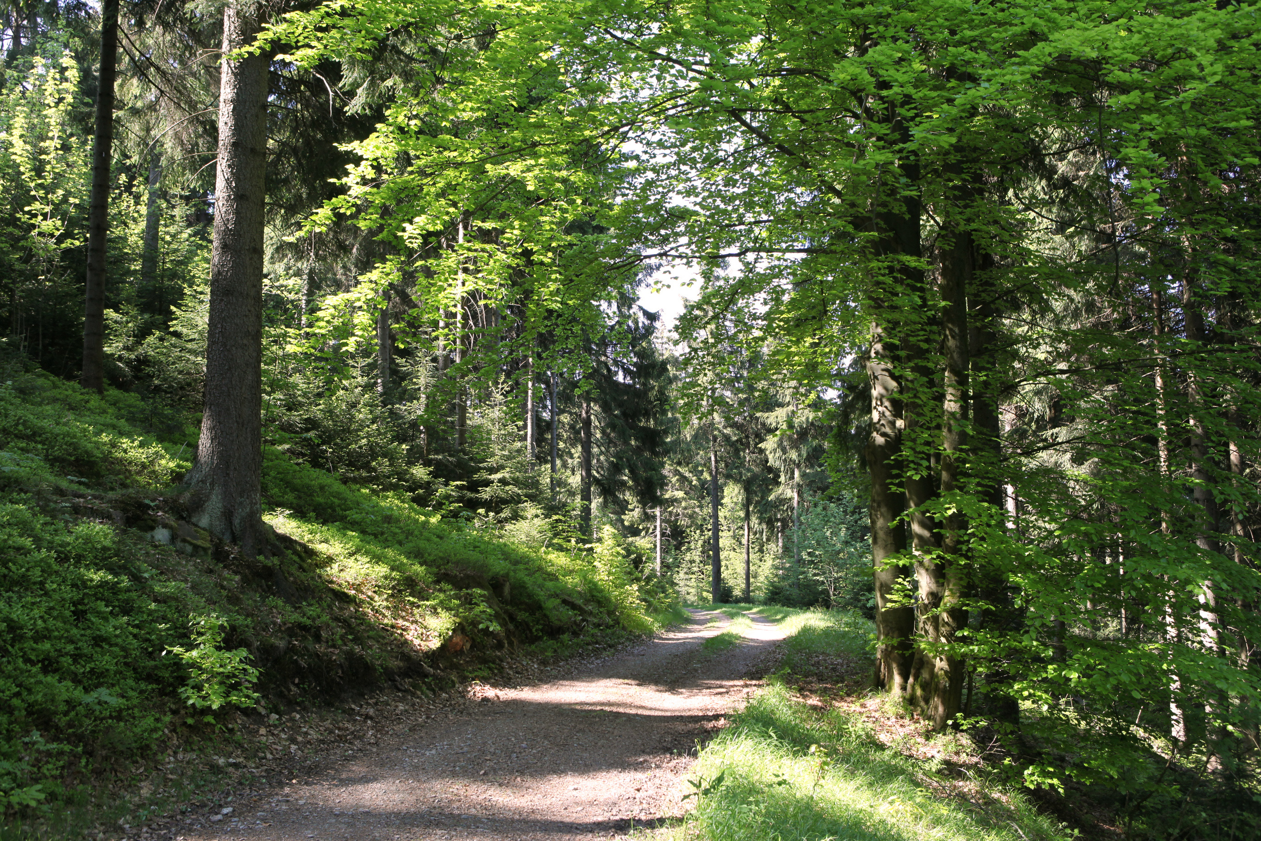 HPM_Wandern_0886.jpg