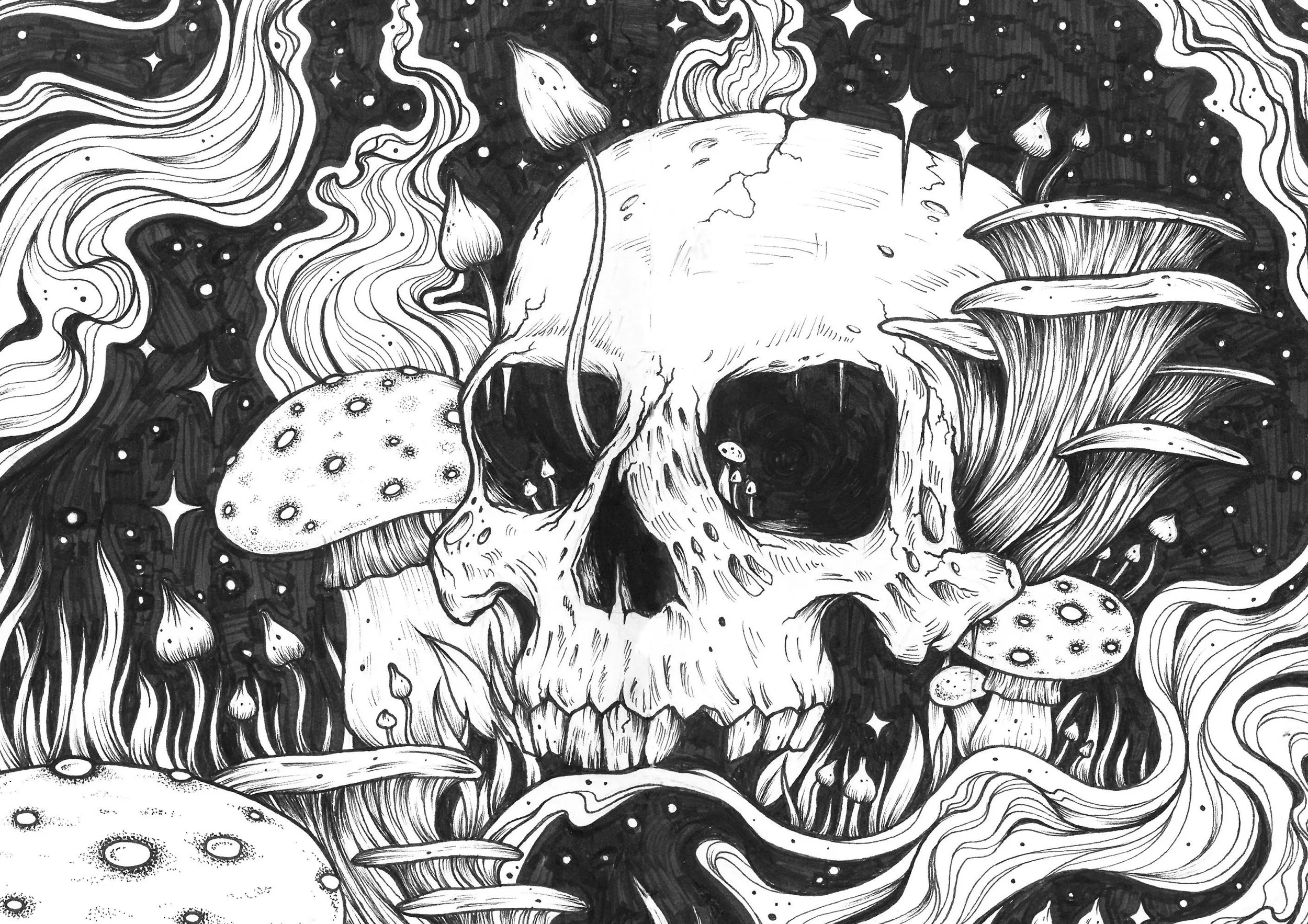 skull sketchbook - defo use!.jpg
