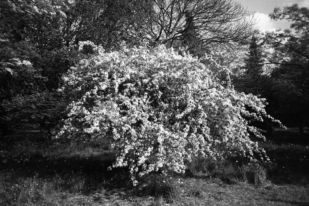 Photo03_5w.jpg