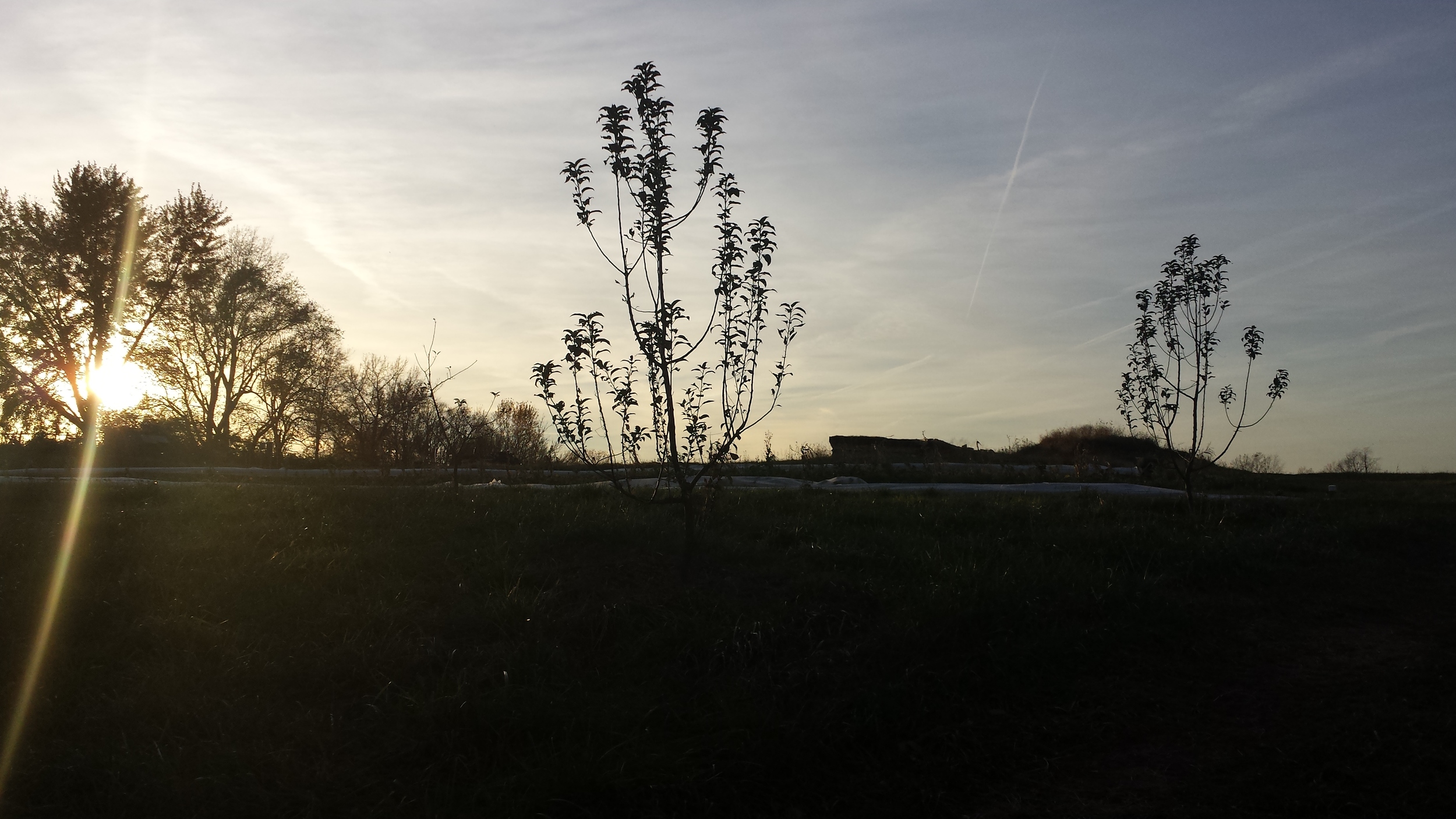 20141109_163432.jpg