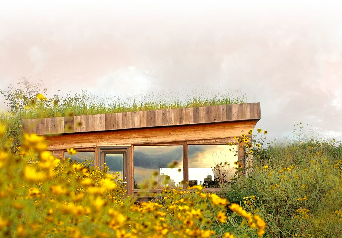 BadSeed - Exterior 2_lr2.jpg