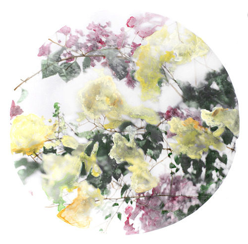 Heleen Peeters , Untitled (Utopia), Hand Coloured Black and White Photograph, 2014