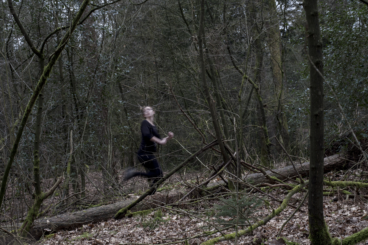 REN NOOIT WEG! Wolven rennen sneller. NEVER EVER RUN! Wolves run faster. 