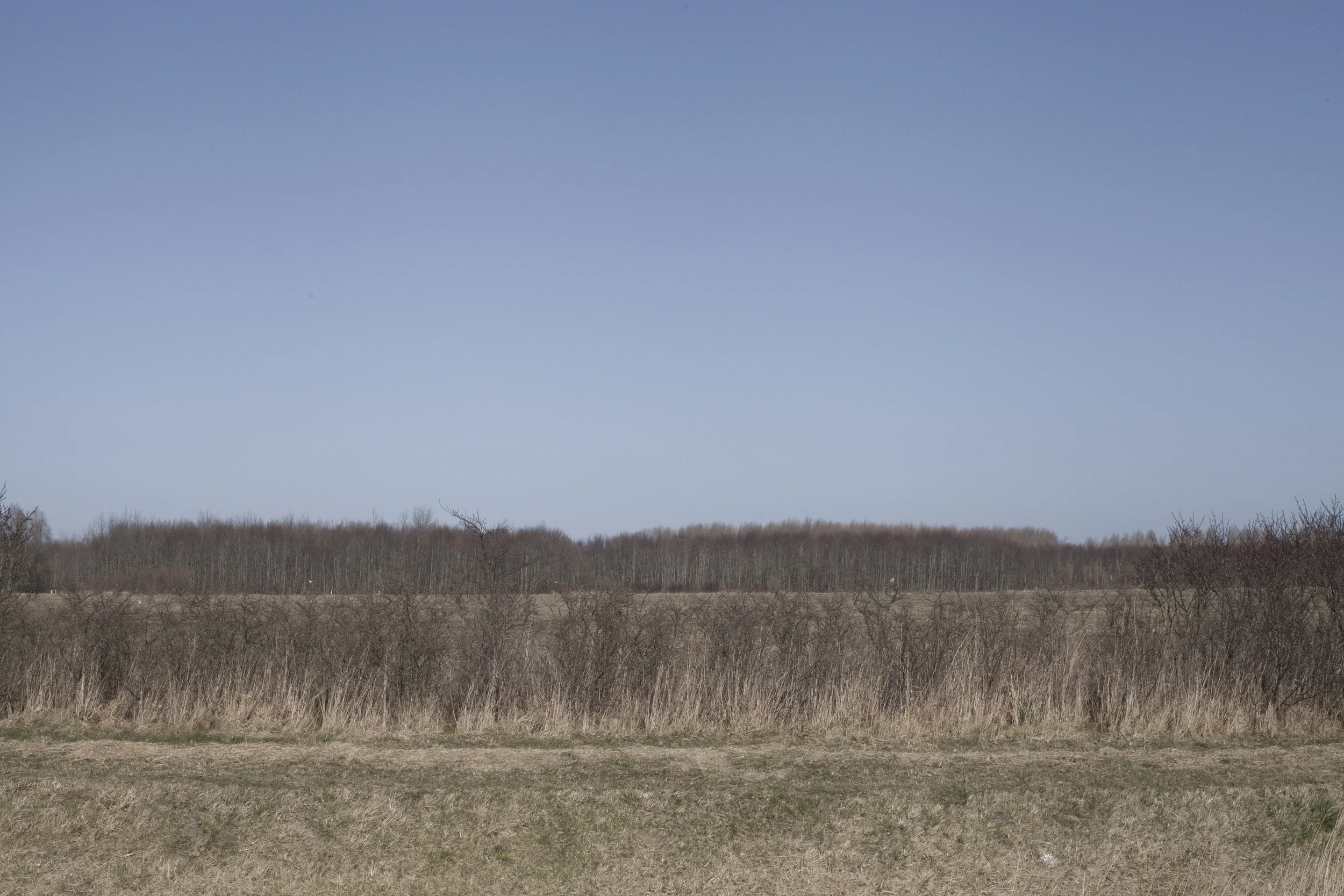 Sanne Kabalt, Groningen