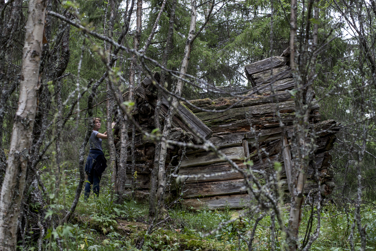 exploring the woods in Leveld