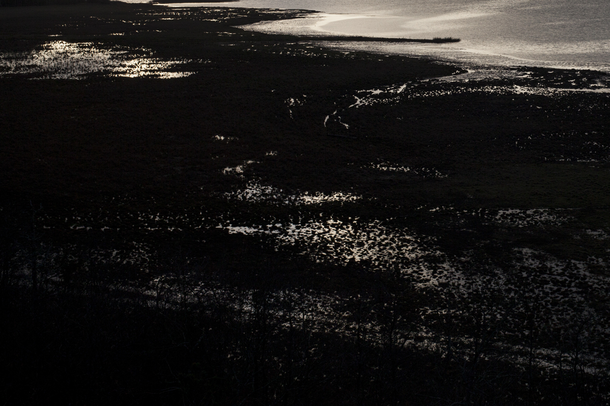 wetlands1.jpg