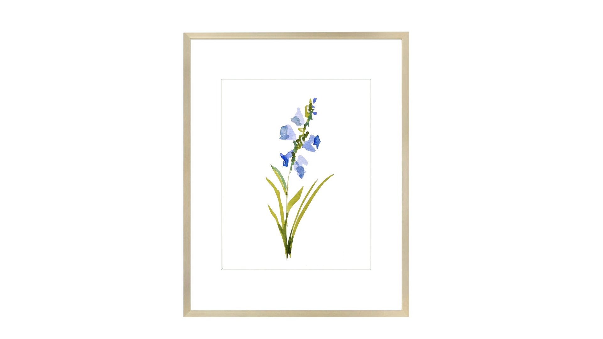 July - Larkspur Print