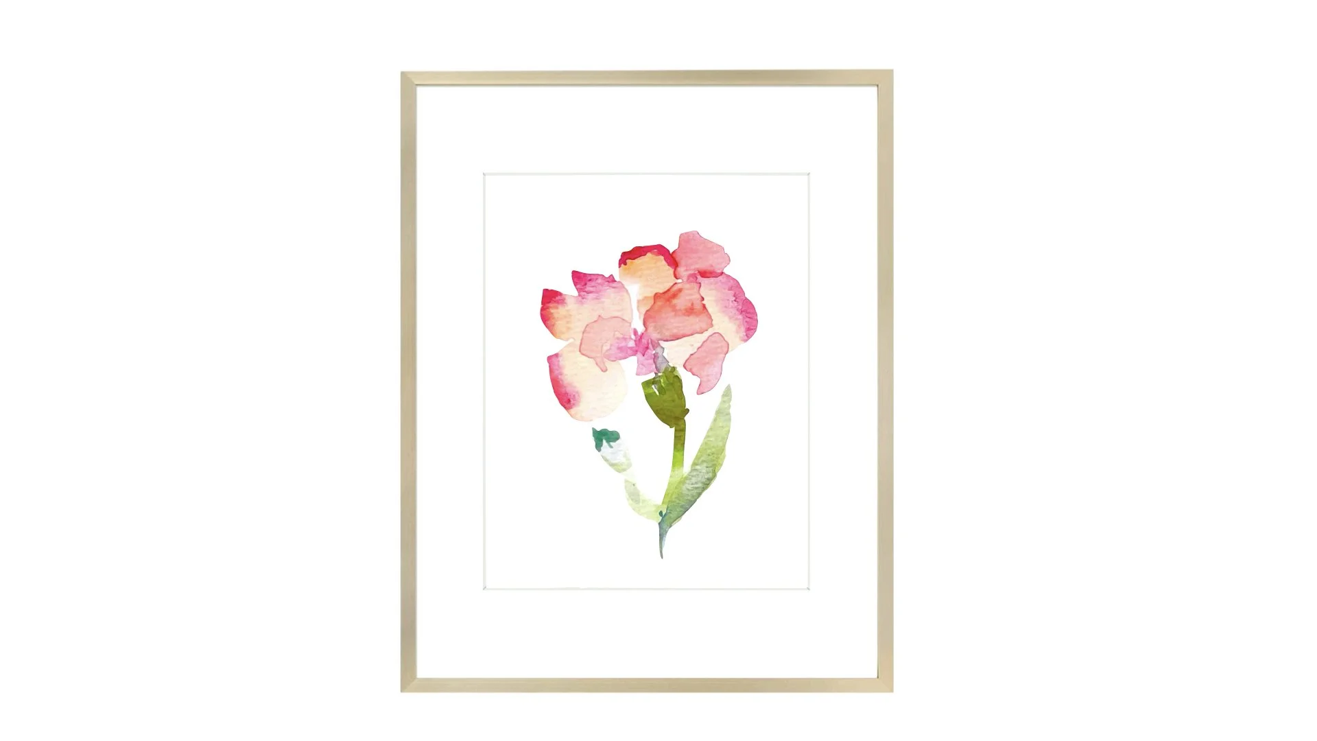 January - Carnation Print