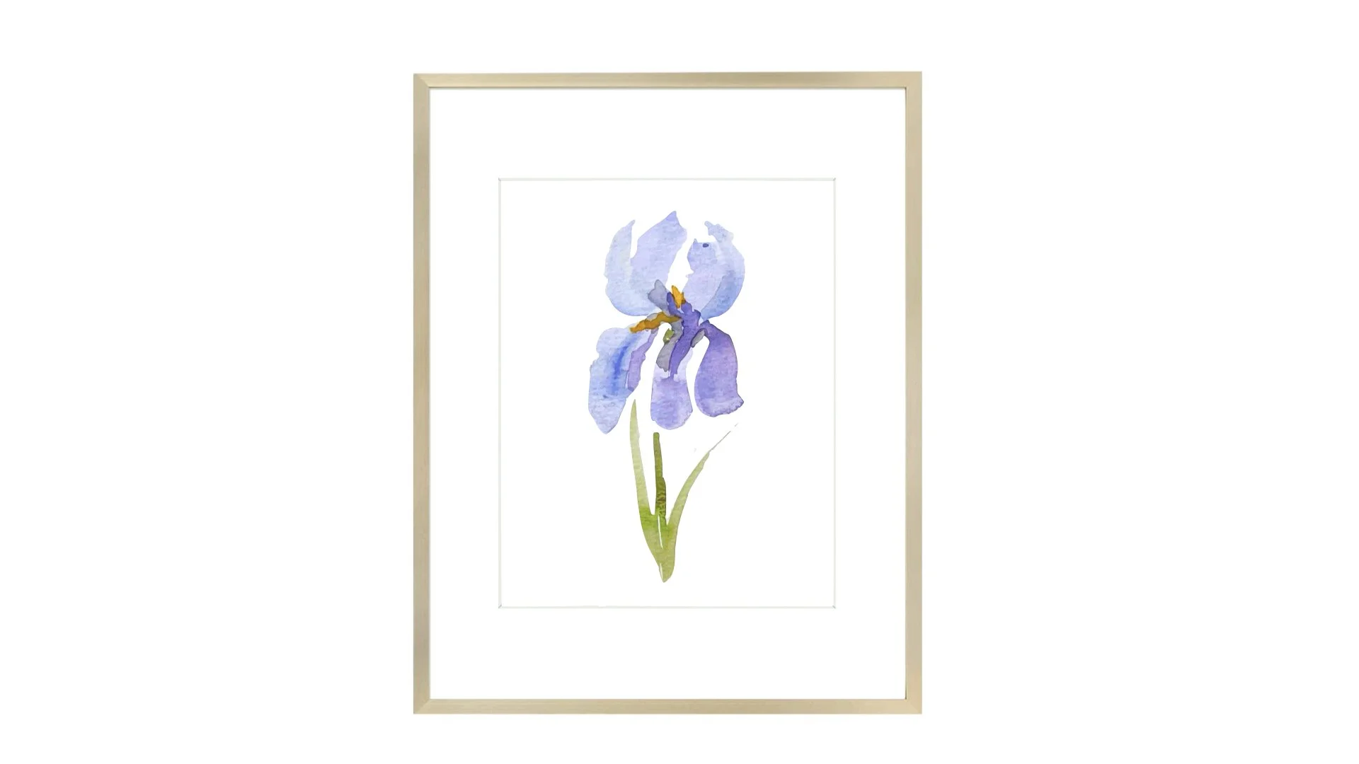 February  - Iris Print
