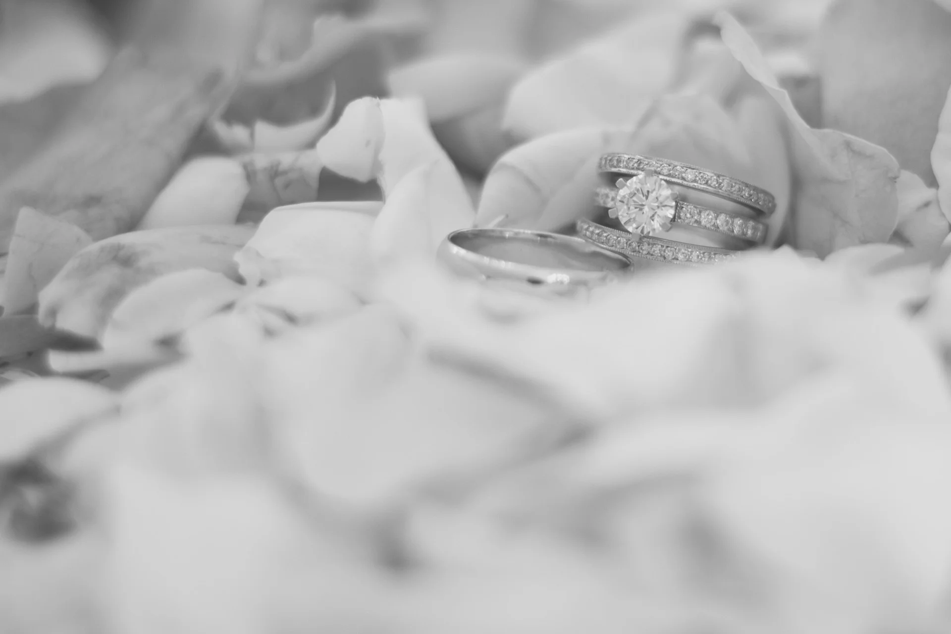 Ring.jpg