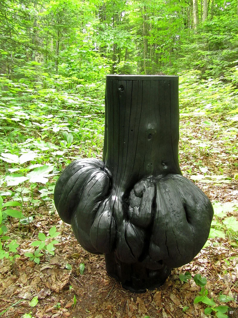 anniedufort_explorateurs_087.jpg