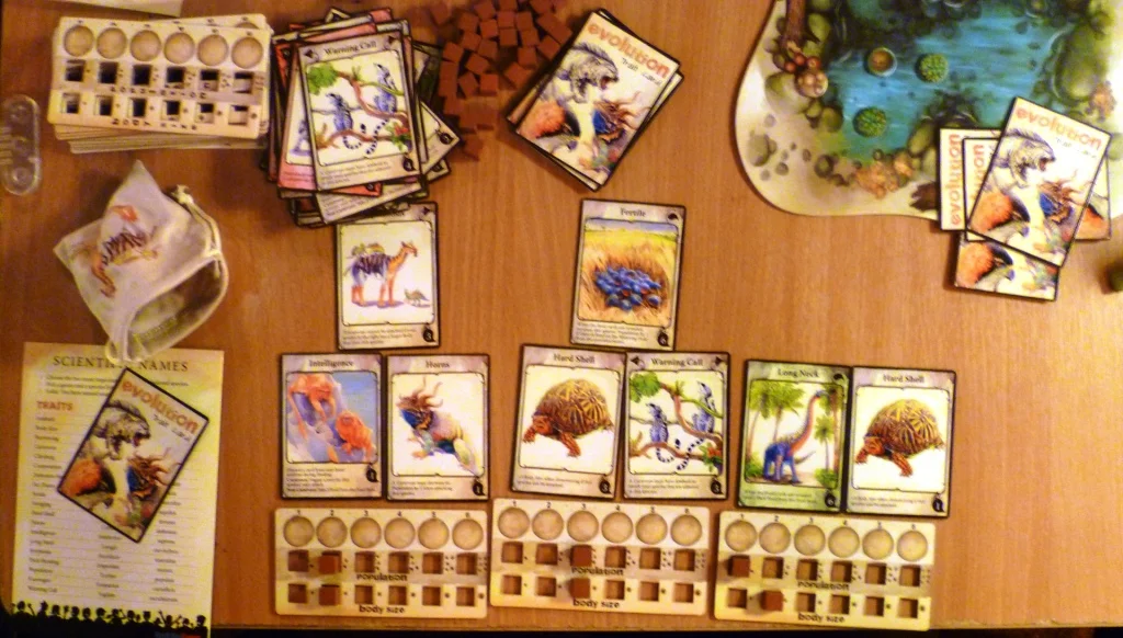 Player layout in Evolution