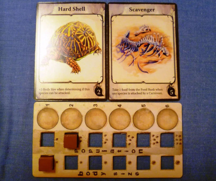 A species with 2 traits at the beginning of the game.
