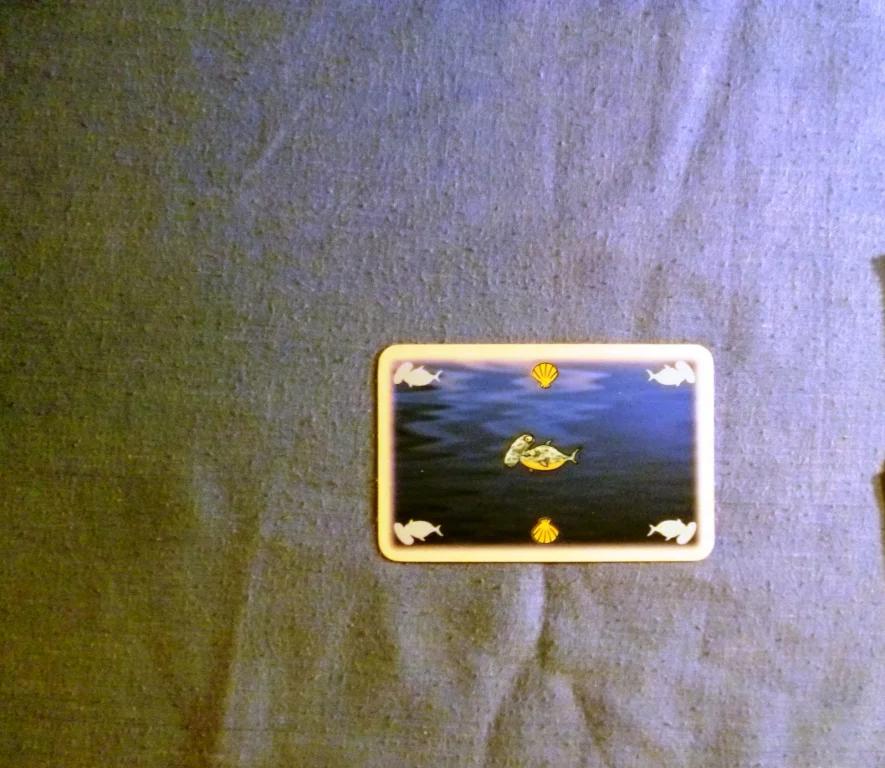 My score (1) for one of the rounds . . . . .
