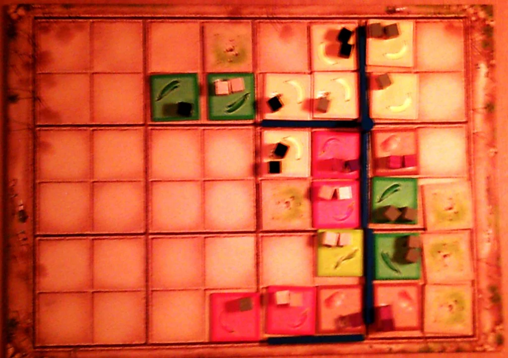 (a poor picture of) the central board in Santiago, the dark lines are irrigation ditches for the fields