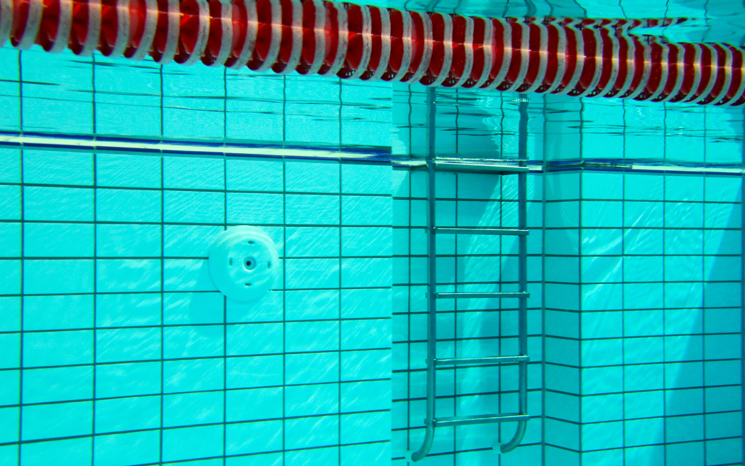 poolview additional eyes
