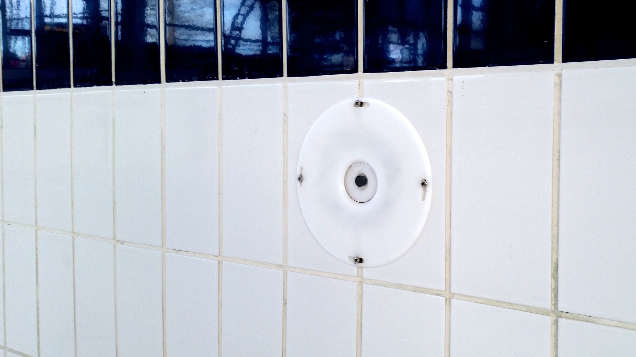 20150120_121255.jpg