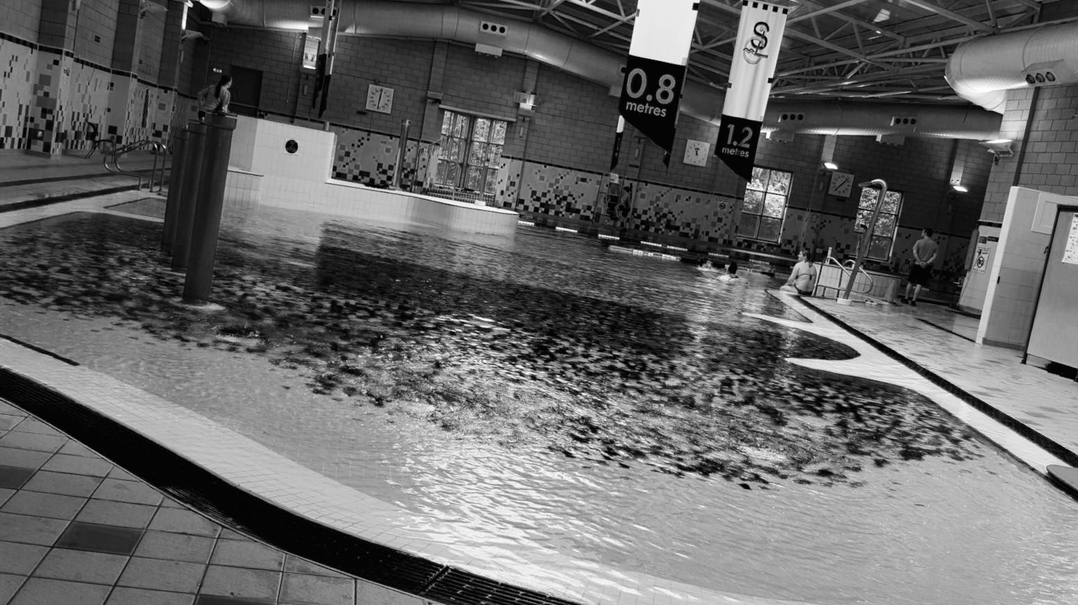 Poolview - providing flexible solutions to Lifeguarding issues.